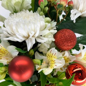 Christmas Chrysanthemums 04